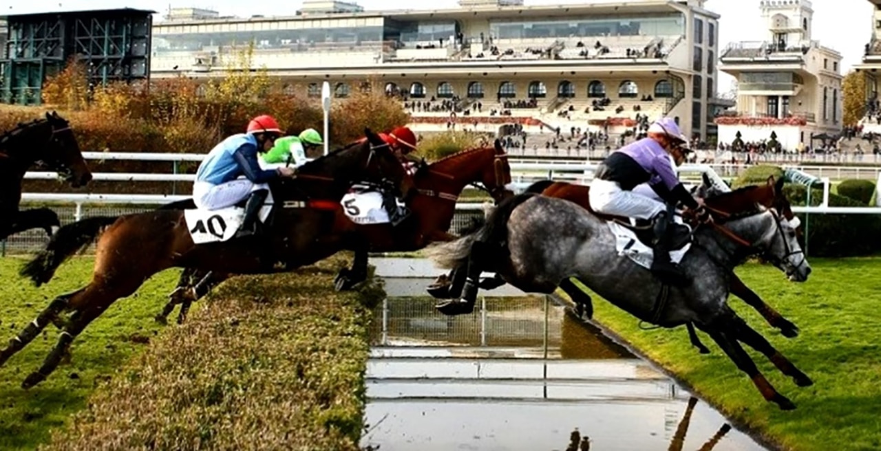Resultat Quinté Auteuil 15 novembre 2020 Prix Marc Antony