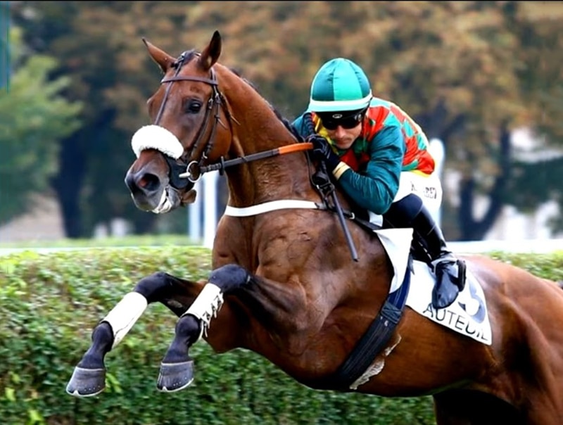 Resultat Quinté Auteuil 8 Novembre 2020