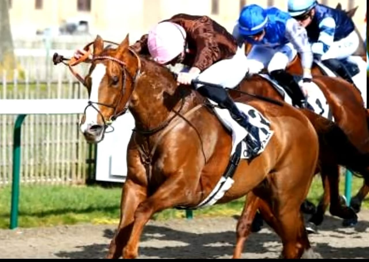 Resultat Quinté Deauville 24 Novembre 2020 Prix des Pommiers