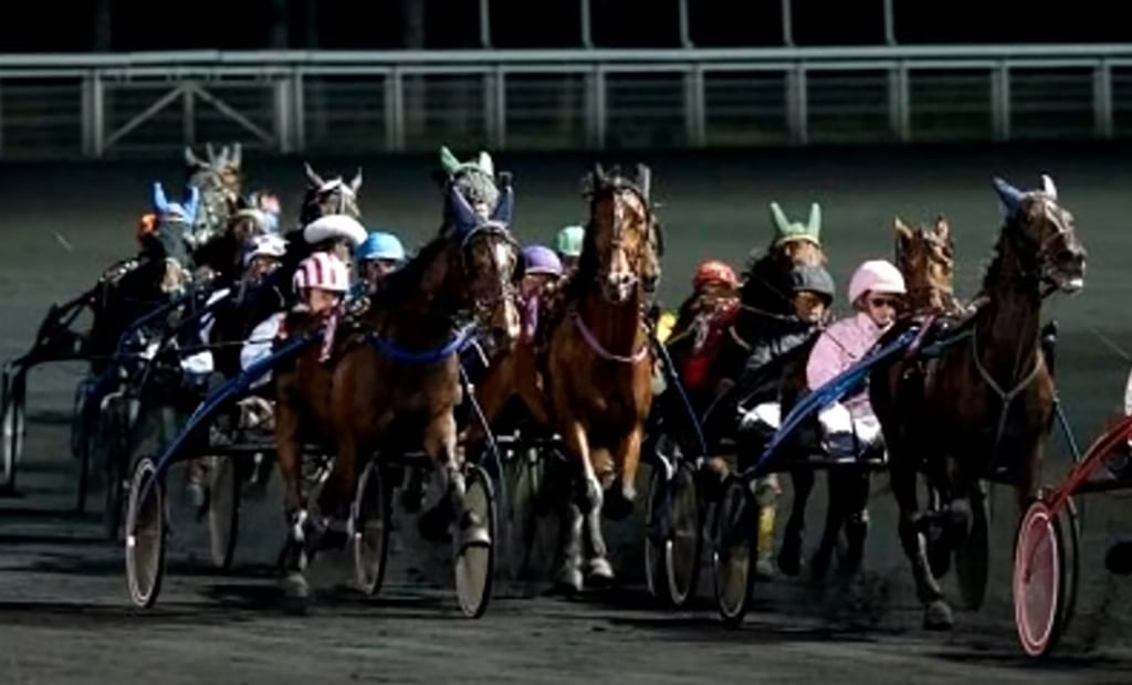 Resultat Quinté Vincennes 13 Novembre 2020 Prix Mizar