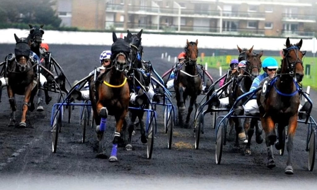 Resultat Quinté Vincennes 14 Novembre 2020 Prix du Languedoc