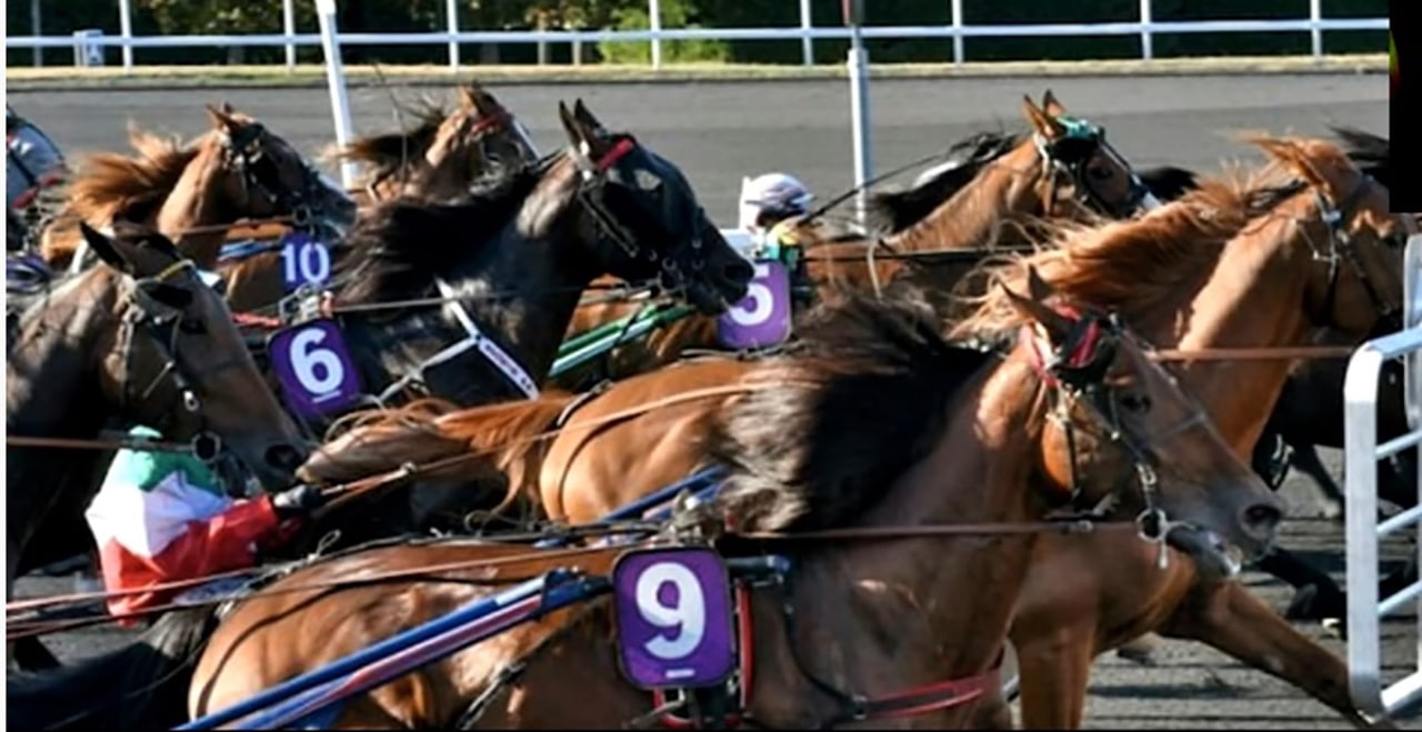 Resultat Quinté Vincennes 16 novembre 2020 PRIX D’AIGUES MORTES