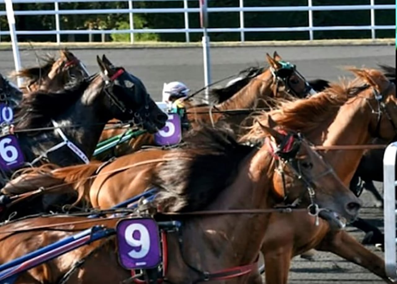 Resultat Quinté Vincennes 2 novembre 2020 prix d'arcachon