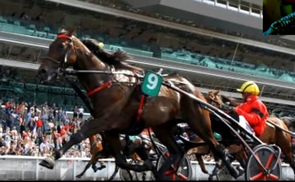 Resultat Quinté Vincennes 22 Novembre 2020 prix de Bretagne