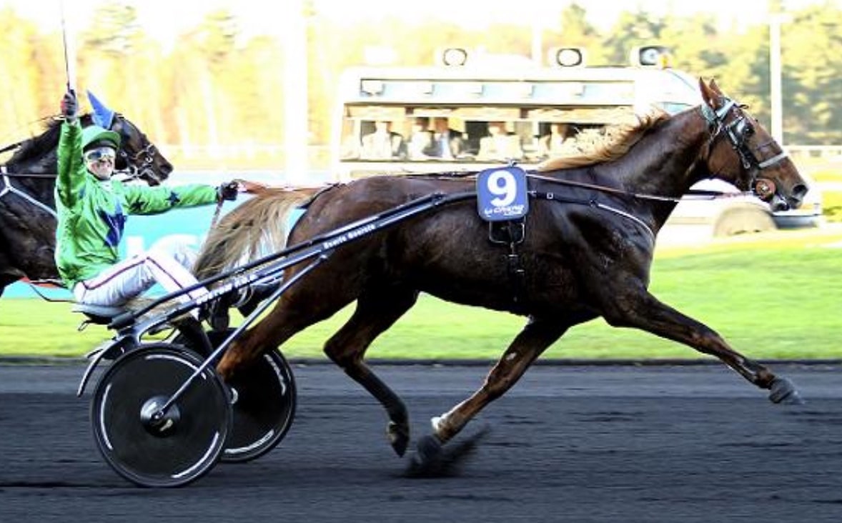 Resultat Quinté Vincennes 27 Novembre 2020 les partants cotes zeturf