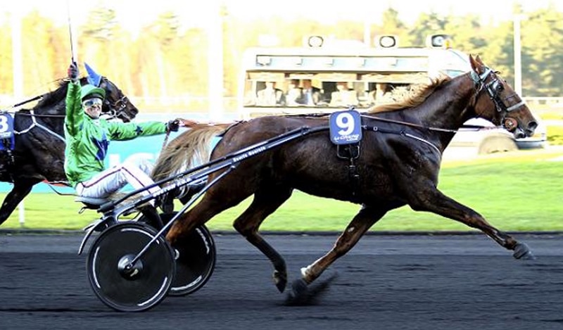 Resultat Quinté Vincennes 28 Novembre 2020 prix daniel miette
